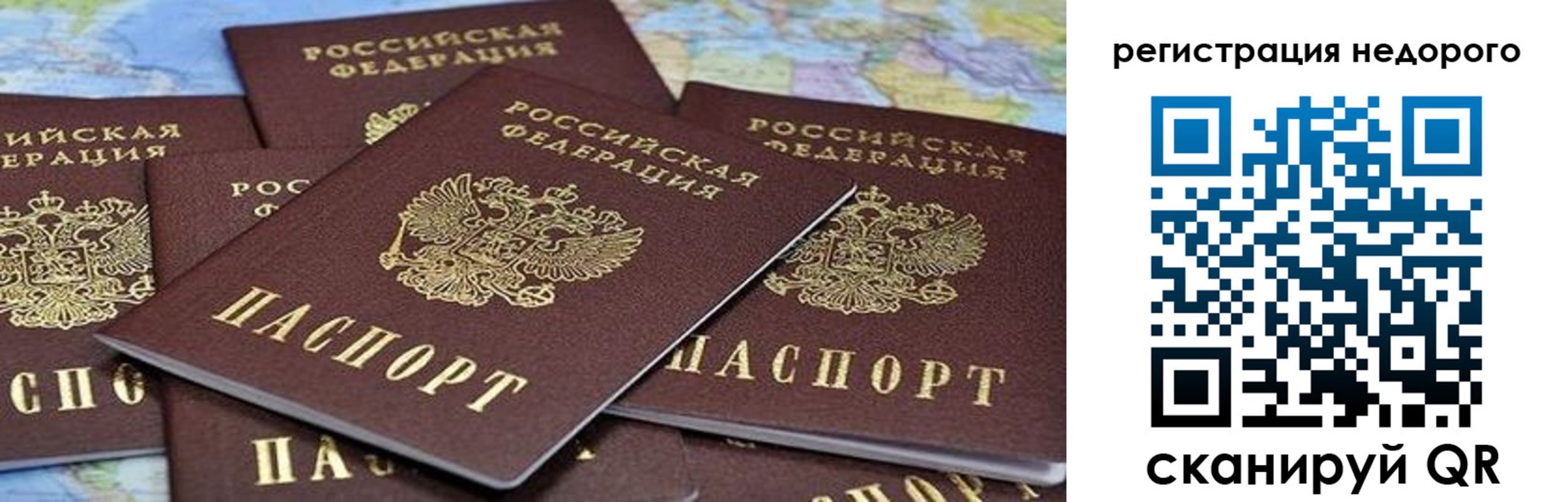 прописка штамп в Кировске